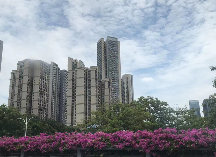 佛山青柯国际石材城:石材产业的璀璨之珠 佛山青柯国际石材城:石材产业的璀璨之珠