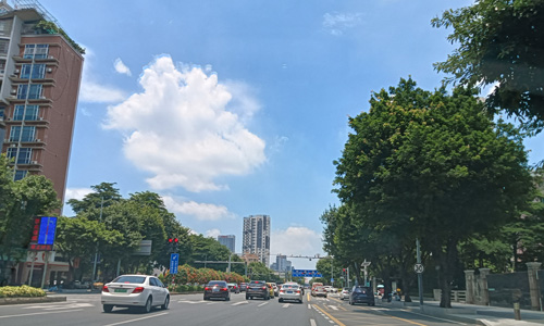 2025海南食疗睡疗游学峰会在博鳌如期举行 2025海南食疗睡疗游学峰会在博鳌如期举行